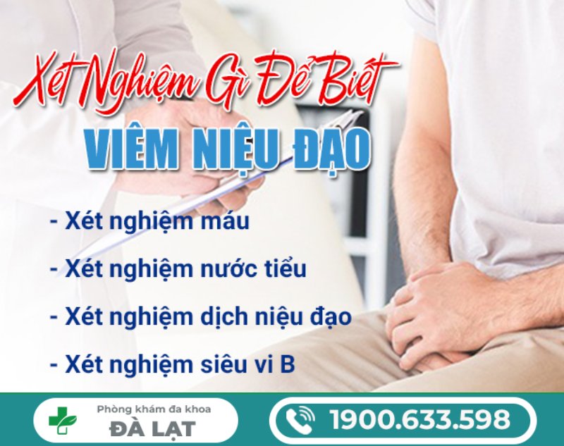 Hình ảnh minh họa